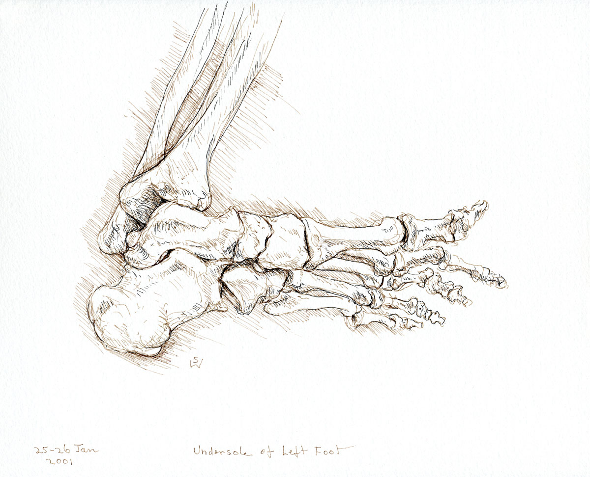 Left Foot Drawing