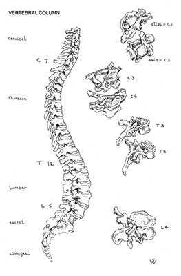 tutorial_fig3