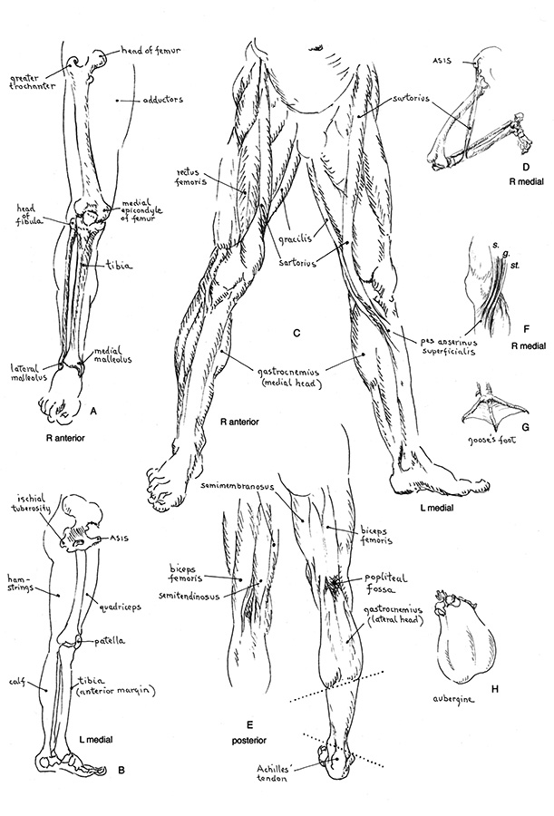 tutorial_fig5_big